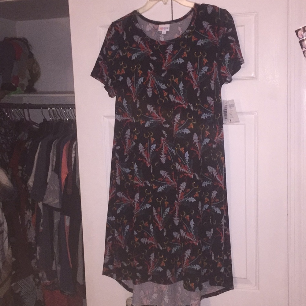 Lularoe Carley Dress